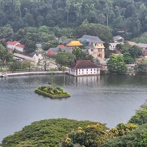 Lazy Bear In Auberge de jeunesse Kandy